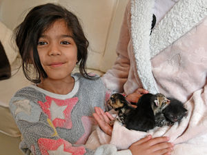 Supporting image for story: Watch: Very lucky pawr-tet of kittens survives huge Walsall flood to be reunited with their mother