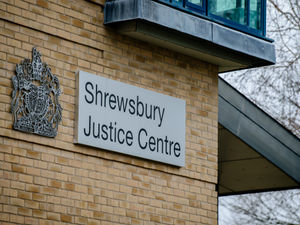 Supporting image for story: Wealthy Shrewsbury businessman whose unique van was stolen offers to mentor drug addict thief