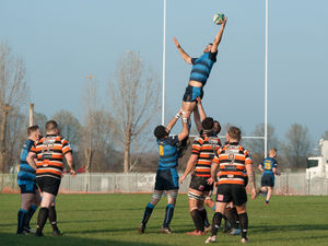 Supporting image for story: Super Shrews looking good