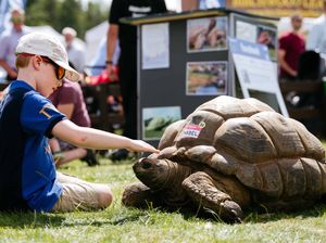 Supporting image for story: Sun brings out bumper crowds as Burwarton Show returns