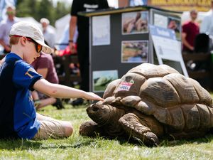 Supporting image for story: Sun brings out bumper crowds as Burwarton Show returns