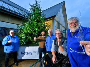 Supporting image for story: School students are helping to add a new icy sparkle to a fund-raising Tree of Lights in Market Drayton