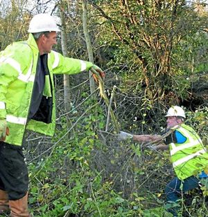 Mark Collier and Dave Parker clear branches
