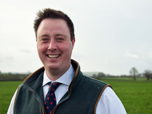 Supporting image for story: Our underground solution to cables issue