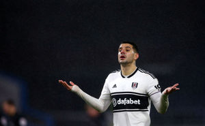 Aleksandar Mitrovic was one of the few successful signings made by Fulham last season following promotion.