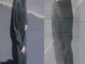 Supporting image for story: Police search for man after car stolen from Dudley