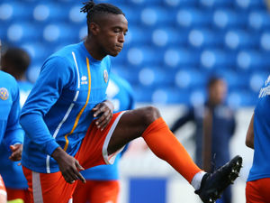 Former Shrewsbury Town defender Omar Beckles  (AMA)