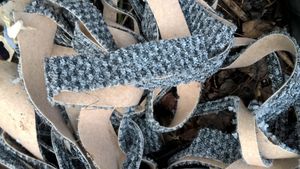 Photo: Telford & Wrekin Council  