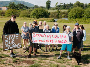 Supporting image for story: Residents demand re-think on Wellington football pitch work over wildlife concerns
