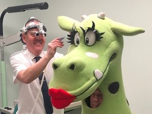 Supporting image for story: Bridgnorth's Puff the Dragon launches new hearing aid for charity