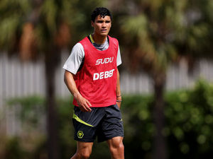 Supporting image for story: Wolves striker set for Belgian loan