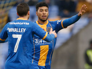 Supporting image for story: Shrewsbury 1-1 Bradford – Lewis Cox's player ratings