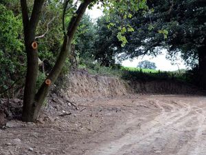 Supporting image for story: Offa's Dyke damage done 'in ignorance'