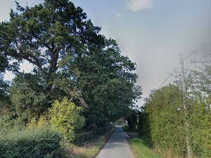Supporting image for story: Firefighters tackle blaze in woodland near Shrewsbury