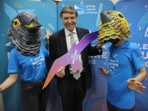 Supporting image for story: Birdsong set to be a chart hit