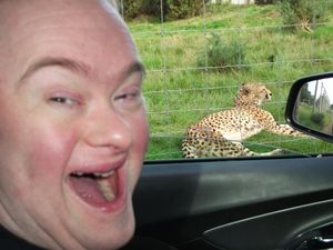 Supporting image for story: Anger as West Midland Safari Park scraps free carer entry 