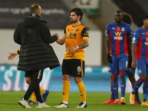 Supporting image for story: Five things as resurgent Wolves face up to Foxes