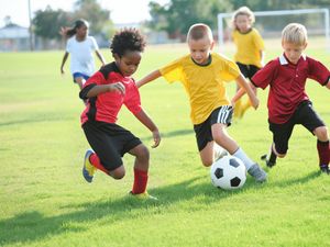 Supporting image for story: Lichfield Council announces summer holiday events for children