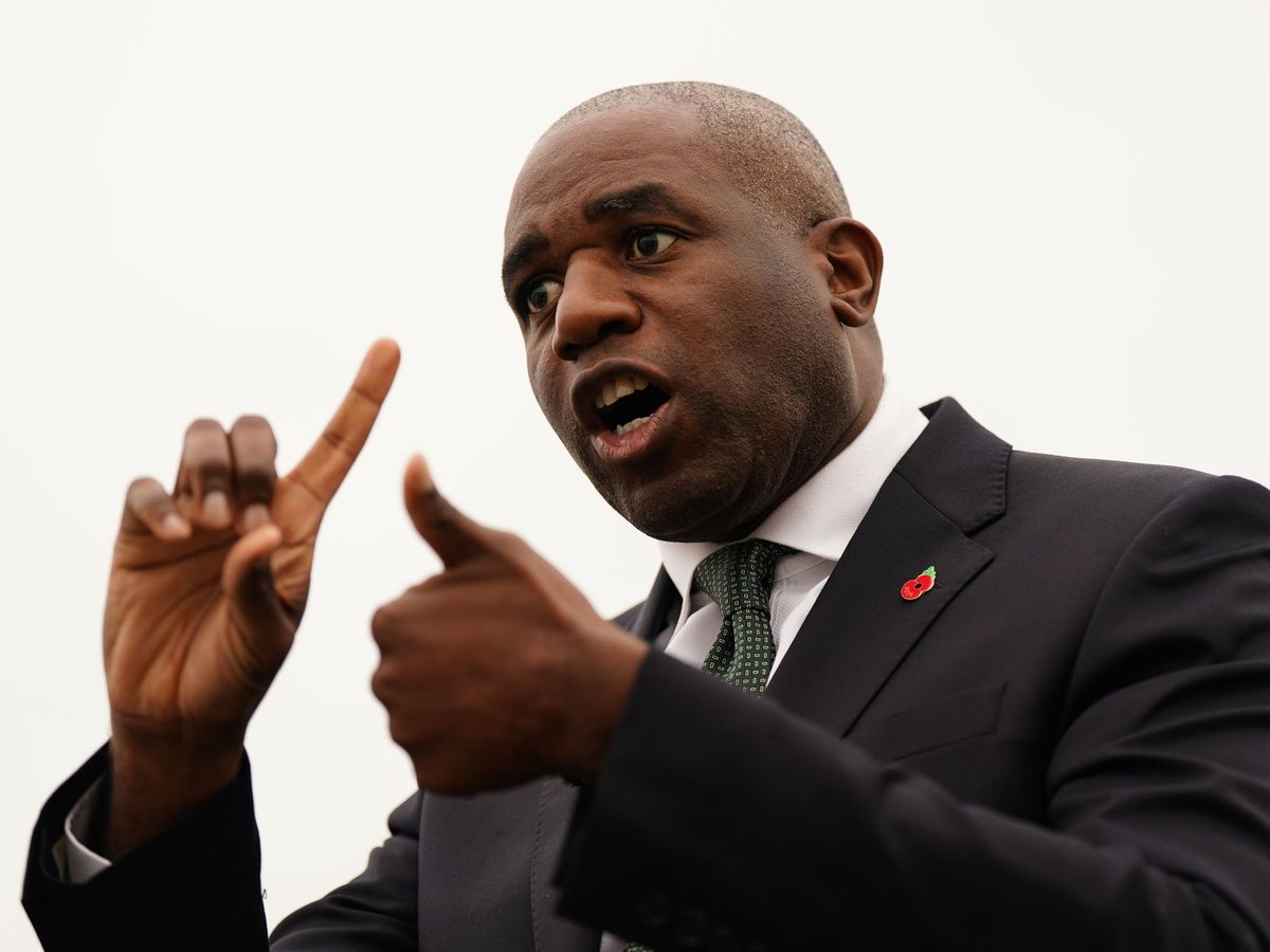 David Lammy using victims of rape as &lsquo;cudgel&rsquo; to drive court reforms &ndash; Labour MP