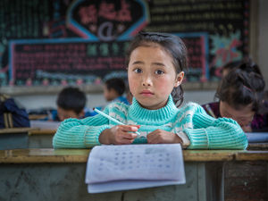 Supporting image for story: Annual print competition sees Wolverhampton photographers share their best work