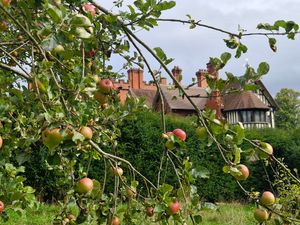 Supporting image for story: 'A near perfect summer' - Wolverhampton National Trust property enjoys stunning apple harvest and sets sights on pumpkin success this Halloween