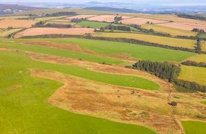 Betchcott Hill near Picklescott, Church Stretton. Photo: Shropshire Wildlife Trust