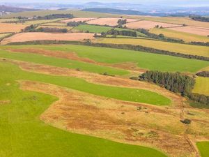 Supporting image for story: Car park plan for Shropshire Wildlife Trust's newest nature reserve - latest details here