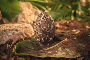 The limited edition chocolate egg, infused with crickets, meal worms and buffalo worms