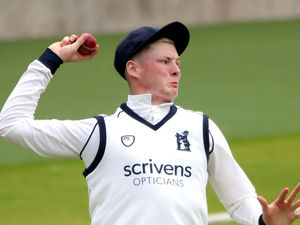 Supporting image for story: Birmingham Bears too strong for Worcestershire Rapids