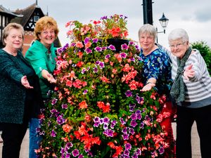 Supporting image for story: Town council pulls plug on funding for Ludlow in Bloom - a year after town won gold award