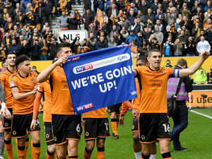Supporting image for story: Wolves increase season ticket prices for Premier League