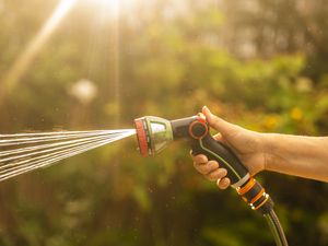 Supporting image for story: Southern Water lifts hosepipe ban for Hampshire and Isle of Wight