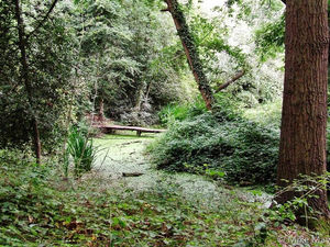 Supporting image for story: Photography: How to take better photos