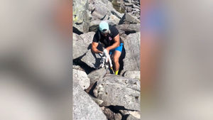 Matt Parke, 36, his girlfriend and Nicole Wassell, 29, were hiking in Snowdonia National Park when they heard a crying sound while scrambling on Rhinog Fawr.