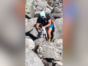 Supporting image for story: Hikers from the West Midlands save adorable baby goat stuck between rocks in heartwarming video