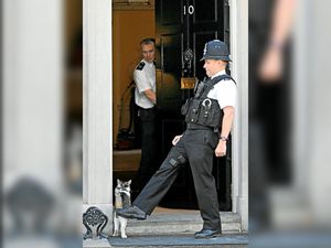 Supporting image for story: Revolving doors of democracy not always good for health of UK