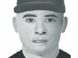 Supporting image for story: Image of sex attack suspect is released
