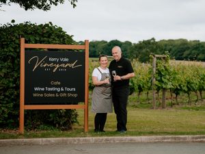 Supporting image for story: Kerry Vale Vineyard toasts award for feedback