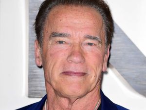 Supporting image for story: Arnold Schwarzenegger says hate and prejudice is ‘the path of the weak’