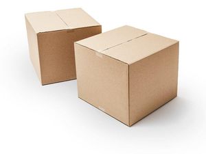 Supporting image for story: How the gravity-defying invisible box challenge took over the internet