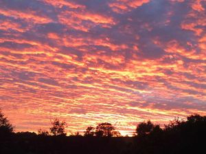 Twitter photo by @steve32571