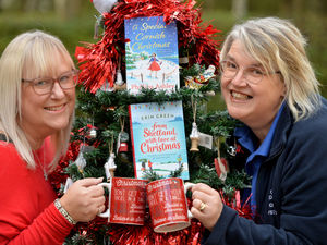 Supporting image for story: Festive Fiction event to be held at Cannock museum 