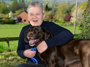 Supporting image for story: Dogged heroine Judy saves her Shropshire owner's life a second time