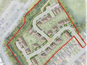 Supporting image for story: Wildlife corridor in Oldbury could be destroyed to make way for new homes