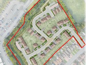 Supporting image for story: Wildlife corridor in Oldbury could be destroyed to make way for new homes