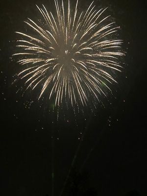 Dudley Council organised a free firework display for residents to see from their homes