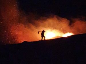 Supporting image for story: Worst wildfire year on record after crews respond to nearly 1,000 so far