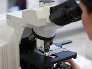 Supporting image for story: Scientists investigating new treatments for chronic pain in cancer survivors