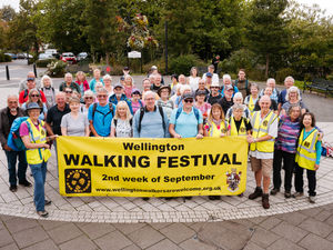 Supporting image for story: Wellington Walking Festival returns next month - here's everything you need to know