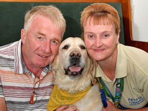 Supporting image for story: Dogs join navy veterans for a spot of paws-on therapy